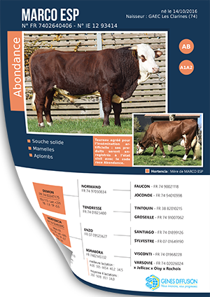 Flyer-ABONDANCE-MARCO-ESP.jpg