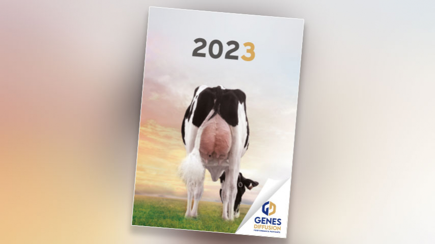 Catalogue Holstein 2020-2021
