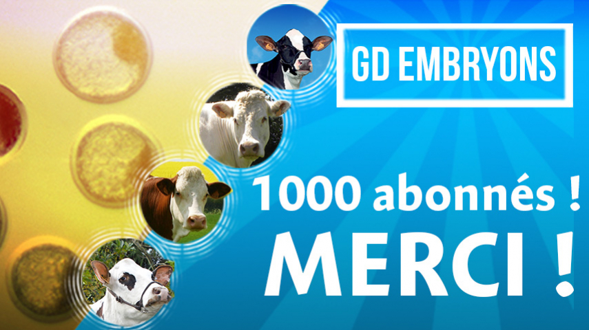 GD Embryons passe le cap des 1000 abonnés !
