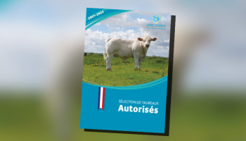 Sélection de taureaux autorisés - 2020-2021