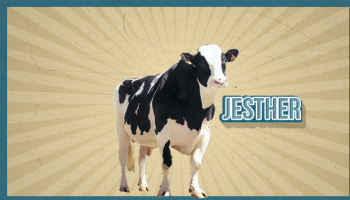 Inoubliable JESTHER