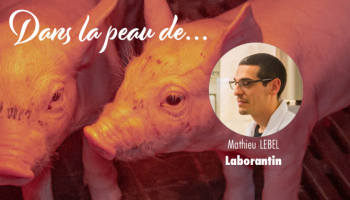 Dans la peau d'un Laborantin