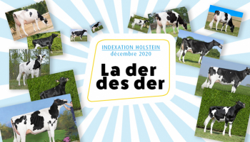 La der des der